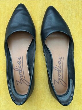 Zodiac Black Pointed Ballet Flats